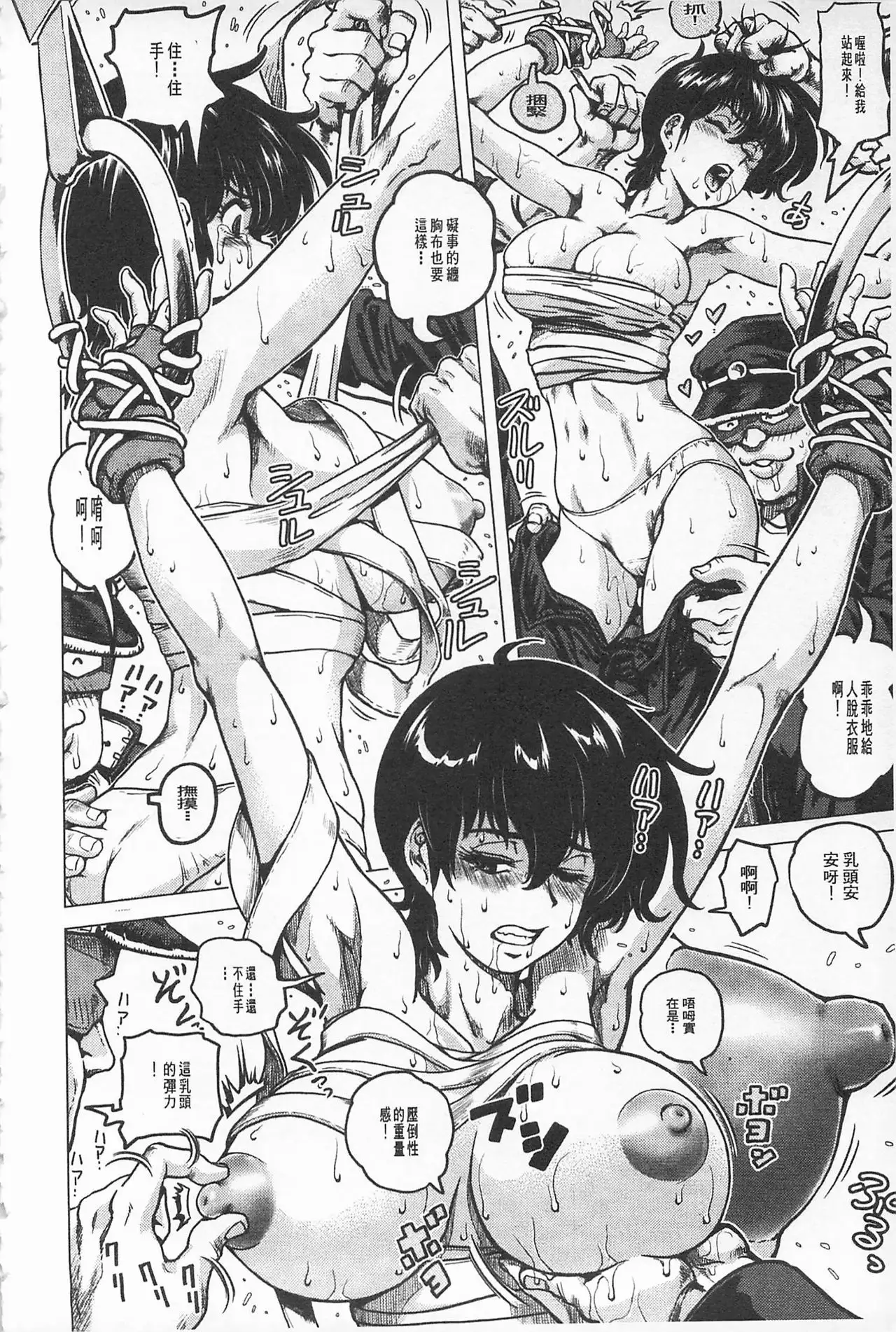 Hikoushiki Heroine Zukan | 非公式女性角色圖姦