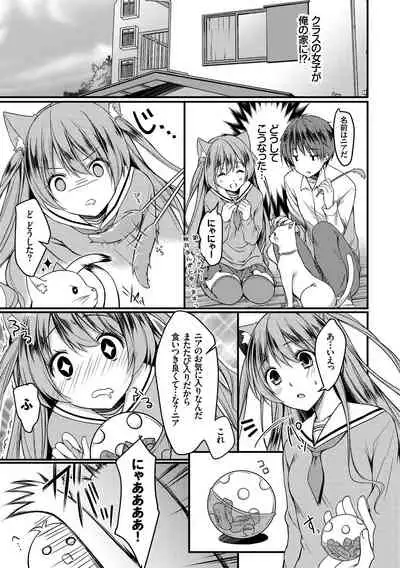 Nekomimi Musume wa Hatsujouki