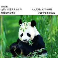 (C72) [Shiawase Pullin Dou (Ninroku)] Package Meat (Queen's Blade) [Chinese] [ssps漢化]