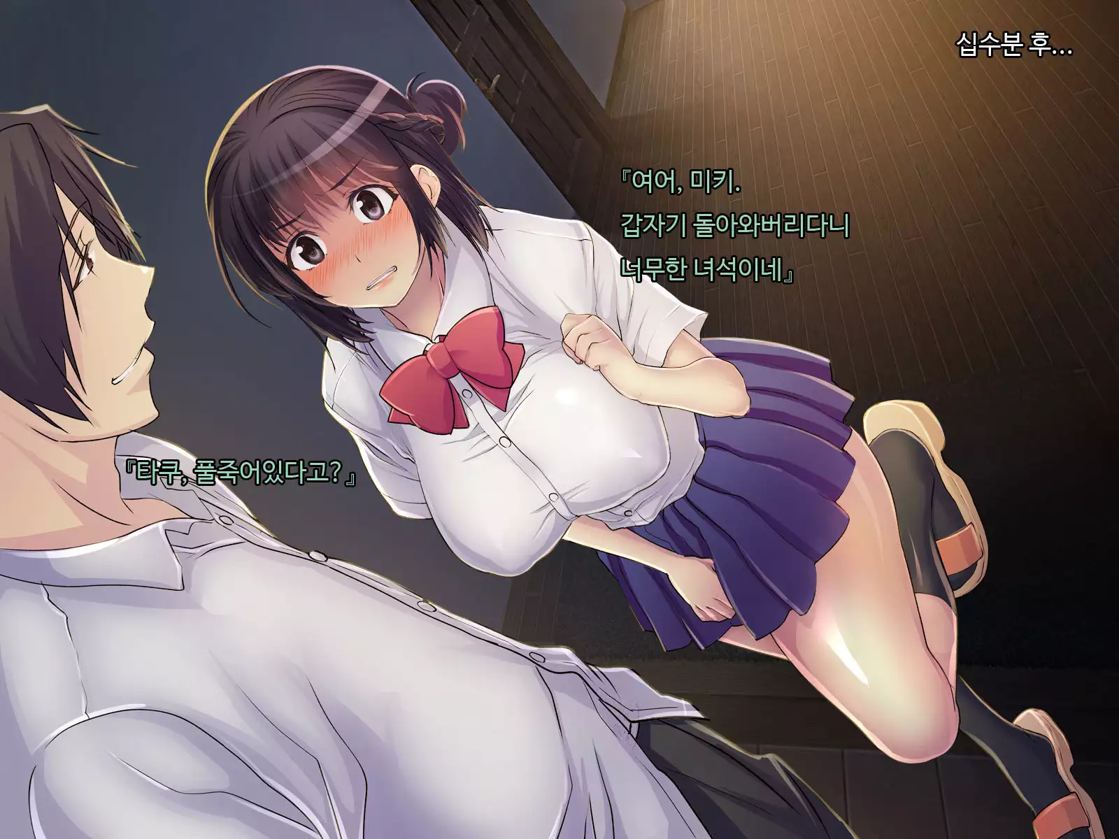 ani sex > otouto sex