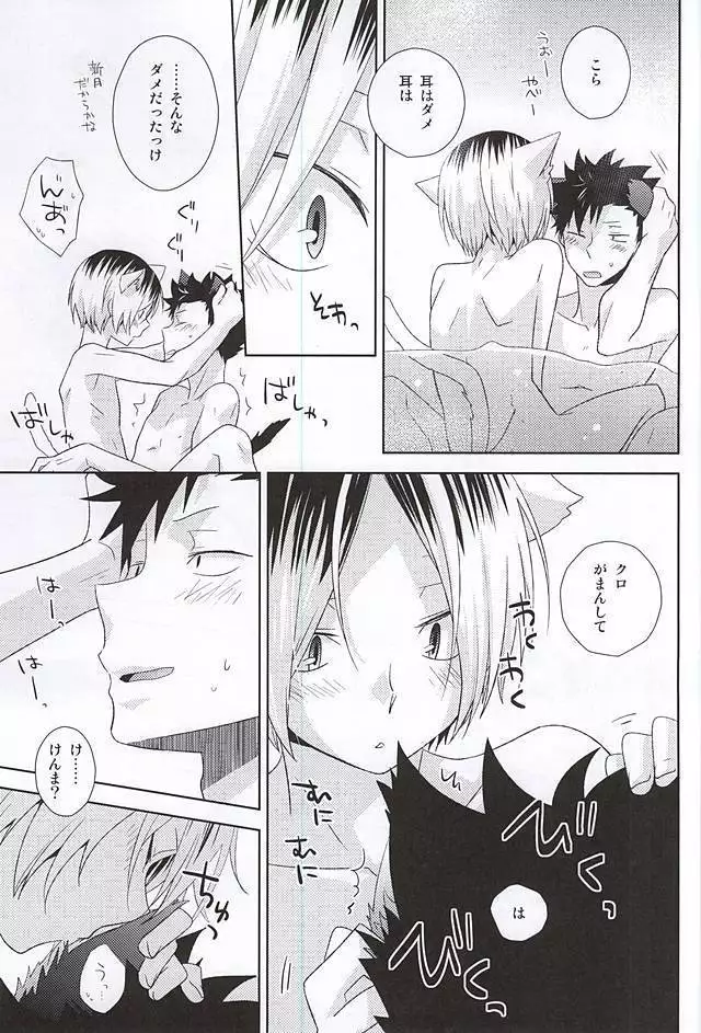 Tsuki Ichi Dai Kansha Kezukuroi Day