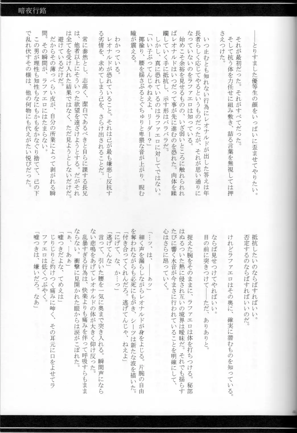 FALLEN - Raph vs Leo - Teenage Mutant Ninja Turtles, TMNT doujinshi