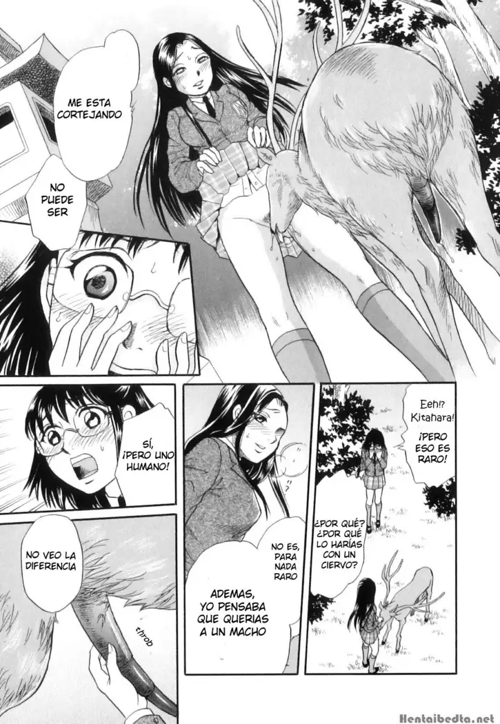 Shoujo-tachi no Yukue ~Shishigami no Mori~ | Divine Deer Forest ~Girls' Whereabouts~