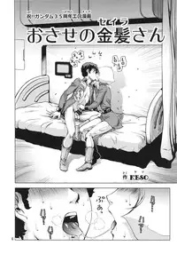 (C86) [Skirt Tsuki (keso)] Osase no Sayla-san (Mobile Suit Gundam)