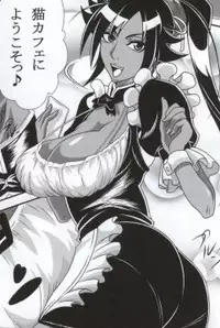 (COMIC1☆4) [Kairanban (Bibi)] Benten Kairaku 14 (Bleach) [Sample]