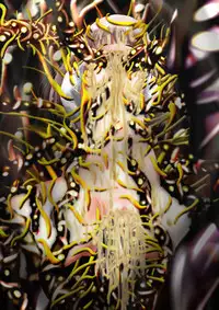 [Dende] Fushigi Sekai -Mystery World- Nonona 37 ~Nonona no Koushuchitsu Shime Inkangoku, Tsubaki no Sonin Kansou Kousoku Mushi Kui Ingokukei~