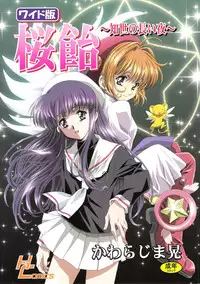 (C68) [Henreikai (Kawarajima Koh)] Sakura Ame Wide ban ~Tomoyo no Nagaiyoru~ (Card Captor Sakura)