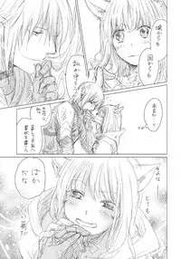 [ASM-P (みっき)] オル光まとめました (Final Fantasy 14) [Digital]