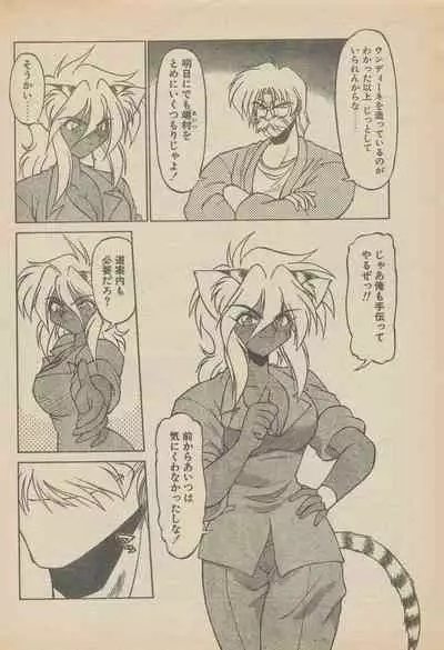 新造人間ストラグルバニー未収録分