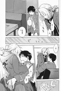 (SUPER20) [macajia (Mattz)] Ineffective medicine (No medicine can cure folly) (Fullmetal Alchemist) [Chinese]