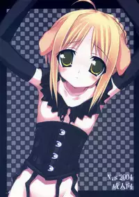 (CR35) [Newton no Ringo (Inuzumi Masaki)] -Iro- (Fate/stay night)