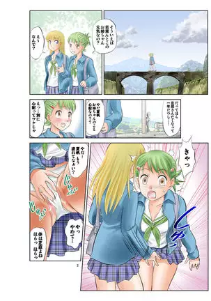 Irekae Mura Diary Soushuuhen Kopen