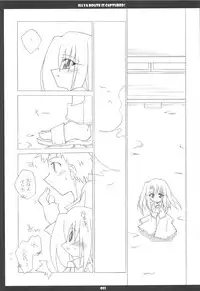 (C68) [THIRD BRAND (Katsumata Kazuki)] Illya Route Kouryaku! Kanzen Kanketsuban (Fate stay night)