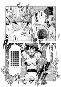 [Light Rate Port Pink] Tanjou!! Aku no Onna Senshi - Videl Sennou Kaizou Keikaku (Dragon Ball Z) [Chinese] [村长个人汉化]