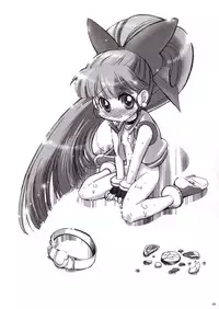 (C71) [prism labo. (Denji Ryoku)] PPGZBook Puchi Puchi Puuchi (Demashita Powerpuff Girls Z)