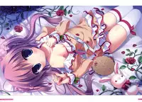 [Yukie] MOEOH Selection Flower Flower Yukie Gashuu