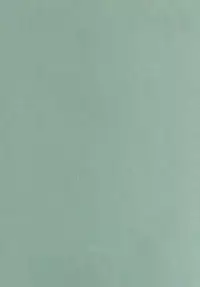 [BEAT-POP (Ozaki Miray)] Himitsu 5 | Secret 5 [English] =TLL + CW= [Digital]