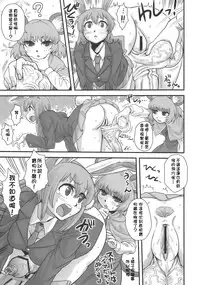 (C77) [Kakumei Seifu Kouhoushitsu (Kamiya Suzuka, RADIOHEAD)] Lunatic Udon (Touhou Project) [Chinese] [颱風天沒事幹的某兔耳控個人漢化]