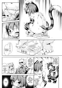 (C92) [Nanamehan (Hansharu)] Neko Ochi Shine Fairies | The Cat Fall of the Shine Fairies [English] [Jormangander]