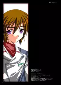 [ARC (Tamagawa Yukimaru)] Yume Utsutsu (Gundam Seed Destiny) [Digital]