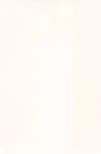 [Benantoka] 10 kara Hajimeru Eisai Kyouiku