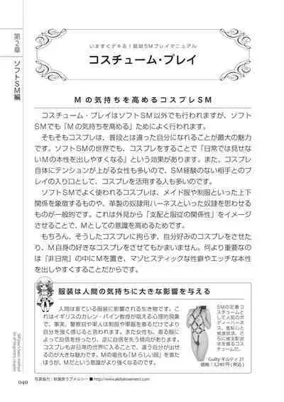 いますぐデキる 図説SMプレイマニュアル