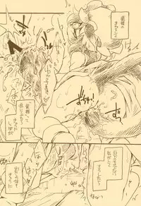 (Kouroumu 5) [Hinaprin (Ikuta Takanon)] Toriko Jikake no Orange. (Touhou Project)