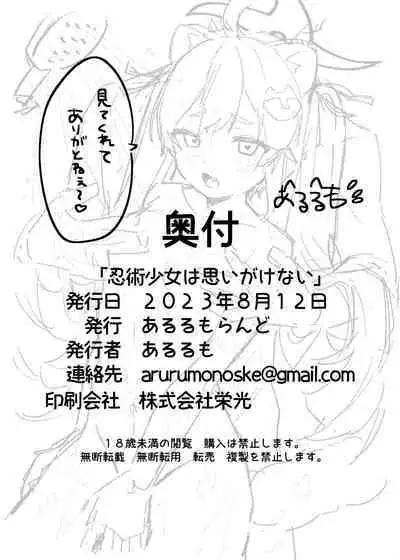 Ninjutsu Shoujo wa Omoigakenai