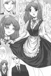 (C60) [Precious HEART (Yamasaki Atsushi)] illegal Auctions.