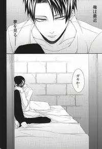 (FALL OF WALL4) [T.K-Cinema (Tako)] Mubyou - Dreamer's Sickness (Shingeki no Kyojin)