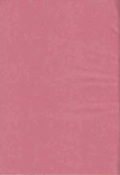 Kimija Nakya Dame Mitai