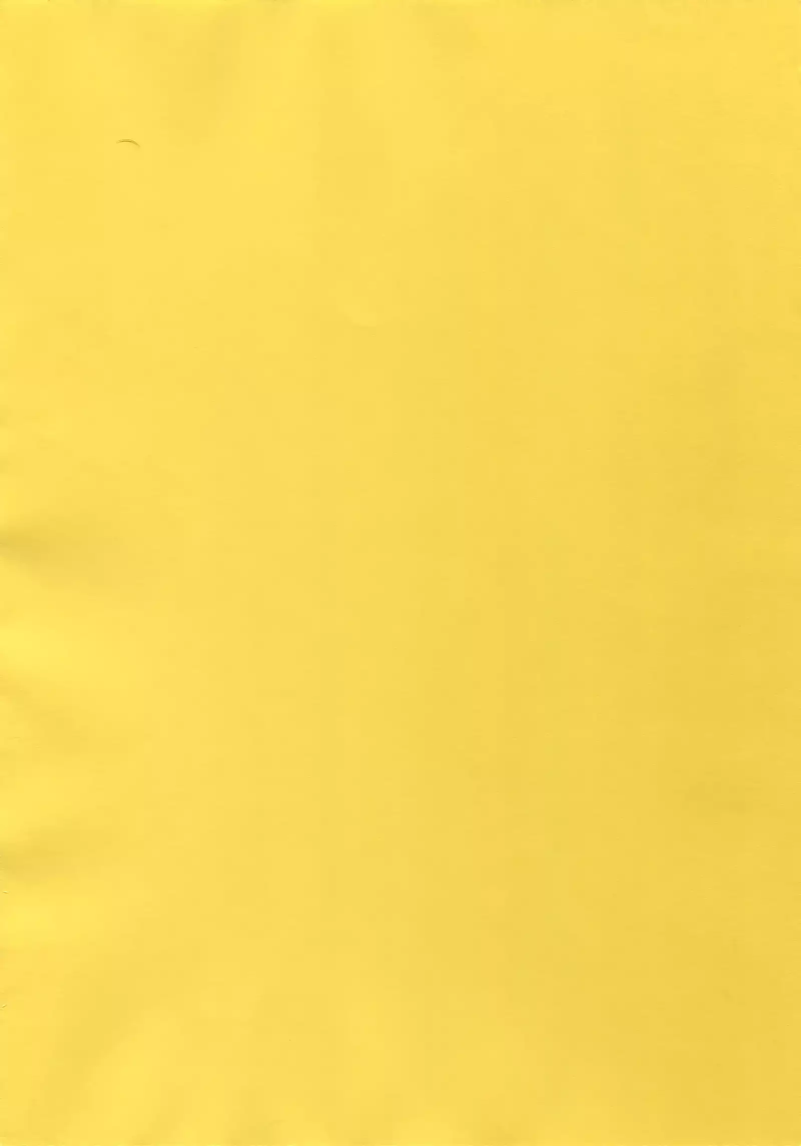 Megagirl 2 Jakoru Ookami