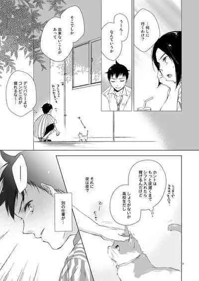 [Team Kihara (Mojarin)] Nadeshiko-san wa No! tte Ienai -Doujin Ban- 1 & 2 [Chinese]