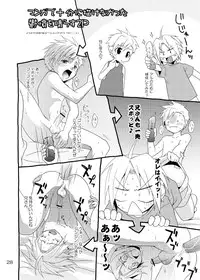 [Panda 4] Kimame ni Tsubu Iri (Fullmetal Alchemist)