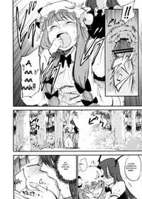 (Reitaisai 10) [Shironegiya (miya9)] Cloudy Sky Library (Touhou Project) [English]