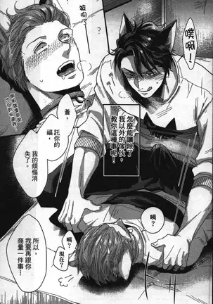 Hatsujou Kemono Hiyori | 發情野獸日和