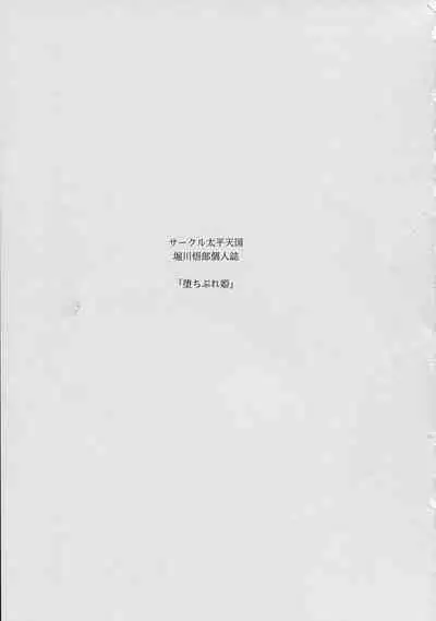 Ochibure Hime Gekan | 墮落的公主 下卷