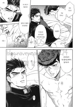 The Suite of Super Darling