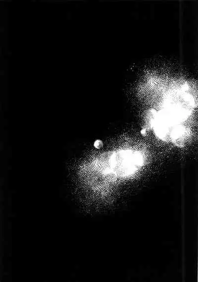 Chouritsu Penalty | 调律惩罚