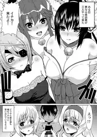 [Neko to Hato (Hatoya Mameshichi)] Kioku o Naku Shita Cecilia to Char ga Ore no Heya ni Korogarikon de Kita Ken Kanzenban (IS <Infinite Stratos>) [Digital]