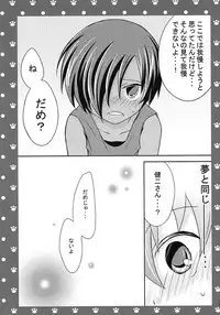 [USAcafe, Orca (Nyaro, Nakamura)] King of Nyanko (Summer Wars)