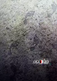 (SC2017 Winter) [S Shoten (3e)] Hadashi no ashioto + Melonbooks Tokuten Clear File (THE IDOLM@STER CINDERELLA GIRLS)