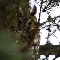 (C46) [The Garden (Itou Masaya)] Watashi wa Mezameteiru Toki, Yume o Miru - I Dream but Am Awake | 我醒仍夢 [Chinese] [虎斑木菟漢化]