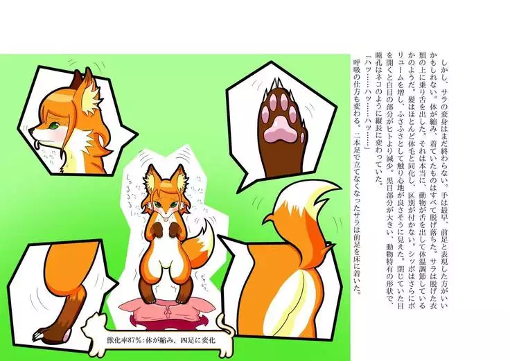 Kemo tan 1＠J-Chimera