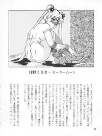 [Yagezawa Bunko (Yagezawa Tetsuyuki)] Usagi 14-sai (Bishoujo Senshi Sailor Moon) [1993-01-24]