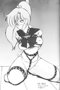 (C61) [Thirty Saver Street 2D Shooting (Maki Hideto, Sawara Kazumitsu)] Silent Saturn SS vol. 3 (Bishoujo Senshi Sailor Moon)