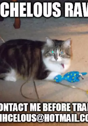 Bereshiito (Fate/Grand Order]