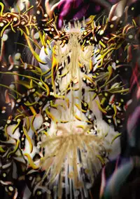 [Dende] Fushigi Sekai -Mystery World- Nonona 37 ~Nonona no Koushuchitsu Shime Inkangoku, Tsubaki no Sonin Kansou Kousoku Mushi Kui Ingokukei~