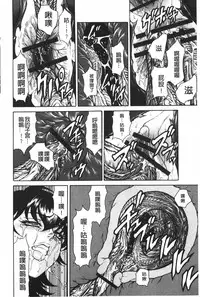 [Hino Toshiyuki] Injukujo Niku Zanmai | 淫熟女肉慘味 [Chinese]