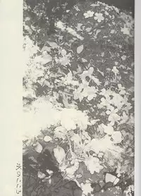 (Renai Jiyuugata! entry2) [Kyuukyuubako (Bandaid)] Mizu no Kokoro (Free!)